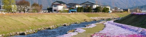 第95回 移住後のこどもの進学