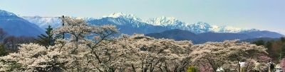 リレー・エッセイ 第33回 八坂くらしの日常