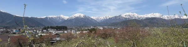 第100回 気候変動