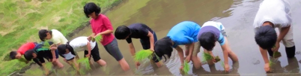 第47回 大町市での「水と暮らし」